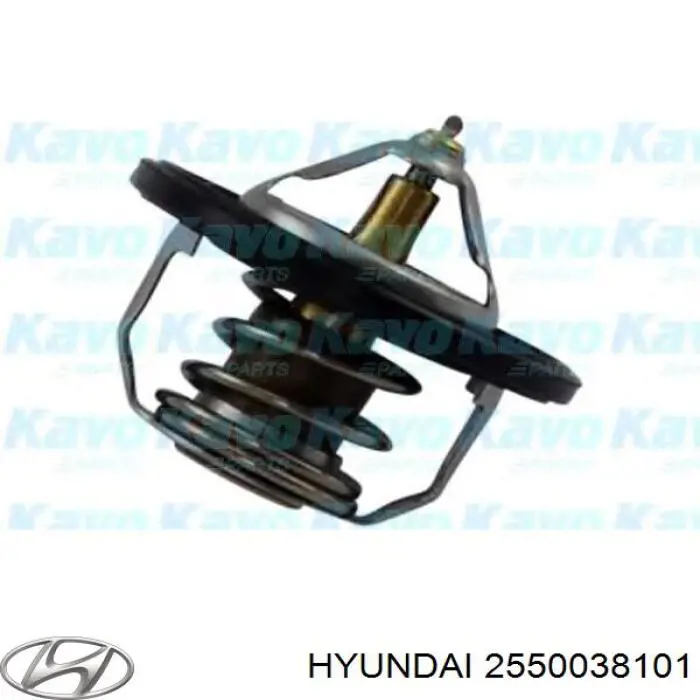 Купити 2550038101 Hyundai/Kia Термостат в корпусі