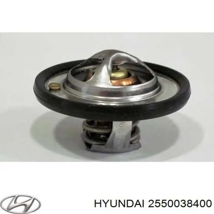 Термостат Hyundai H-1 STAREX Starex (Хендай H-1 STAREX)