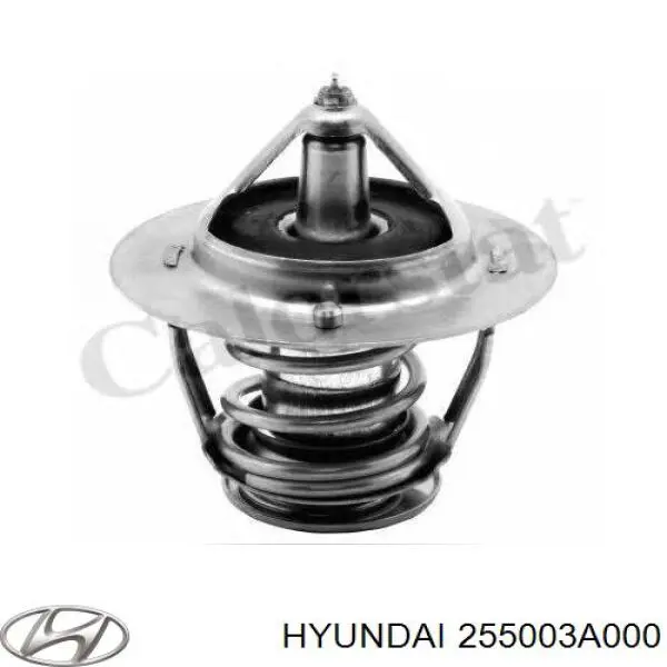  255003A000 Hyundai/Kia