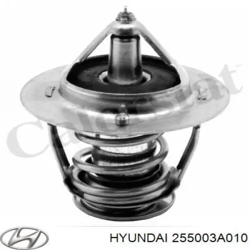  255003A010 Hyundai/Kia