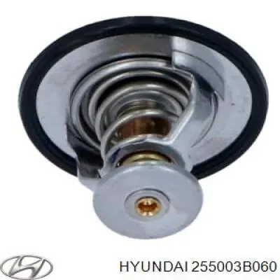 Купити 255003B060 Hyundai/Kia Термостат в корпусі