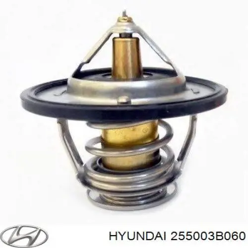 255003B060 Hyundai/Kia термостат