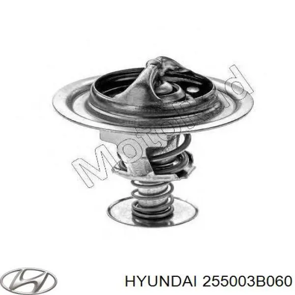 255003B060 Hyundai/Kia Авто термостат