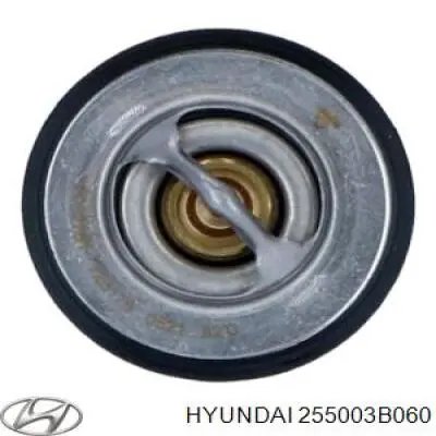 Автомобільний термостат Hyundai/Kia 255003B060 ціна, від 8.88 USD