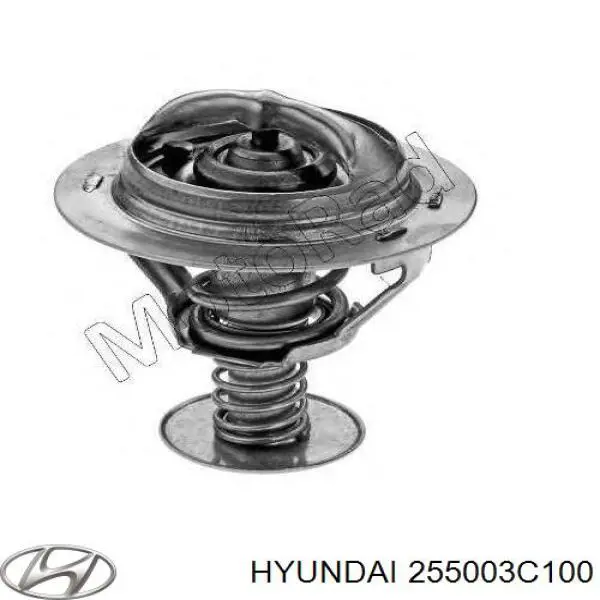 255003C100 Hyundai/Kia термостат