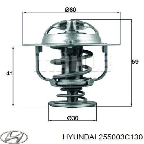 Купити 255003C130 Hyundai/Kia Термостат в корпусі