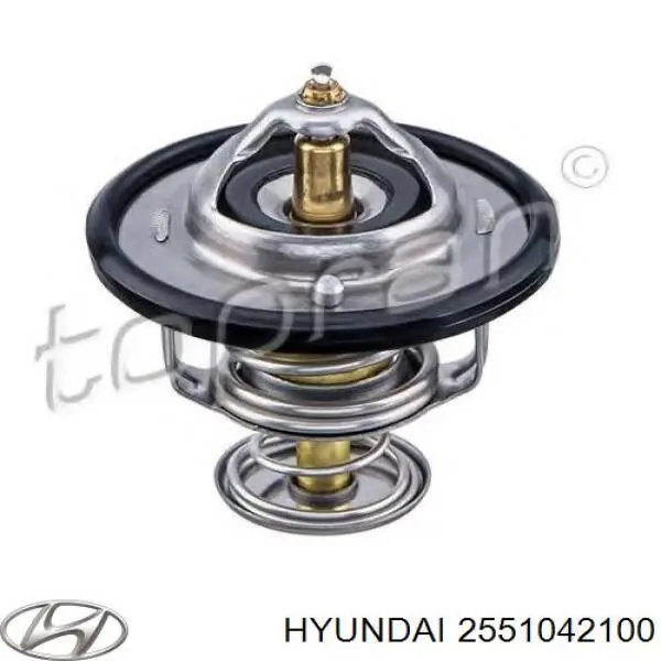 Автомобільний термостат Hyundai/Kia 2551042100 ціна, від 11.04 USD