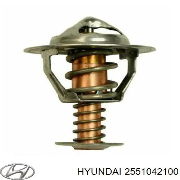 Купити 2551042100 Hyundai/Kia Термостат в корпусі