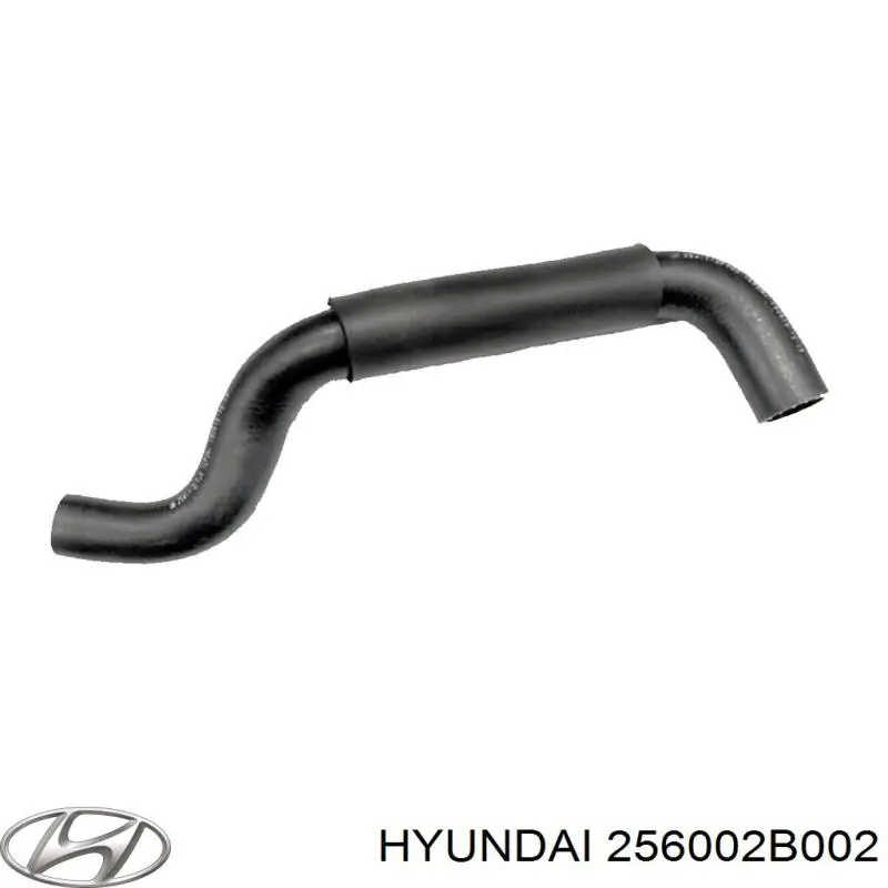 Купити 256002B002 Hyundai/Kia Корпус термостата