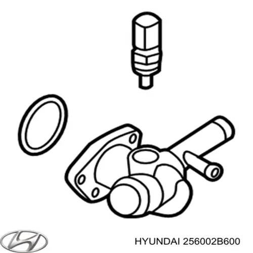 256002B600 Hyundai/Kia Водопровідна труба