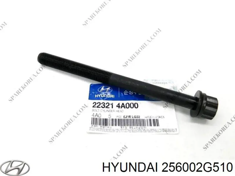  256002G510 Hyundai/Kia