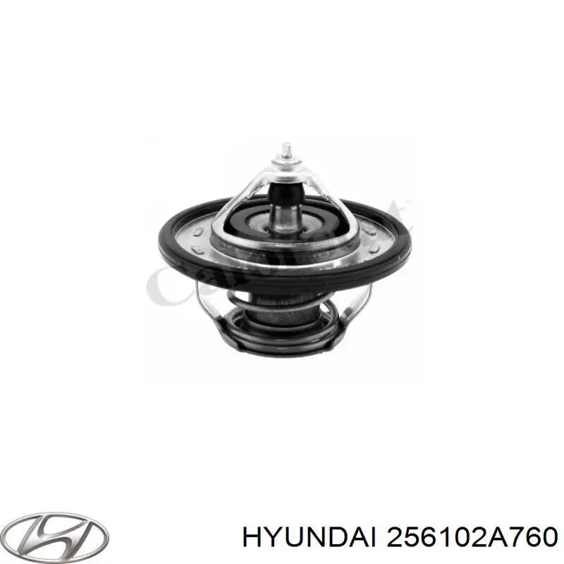 256102A760 Hyundai/Kia 
