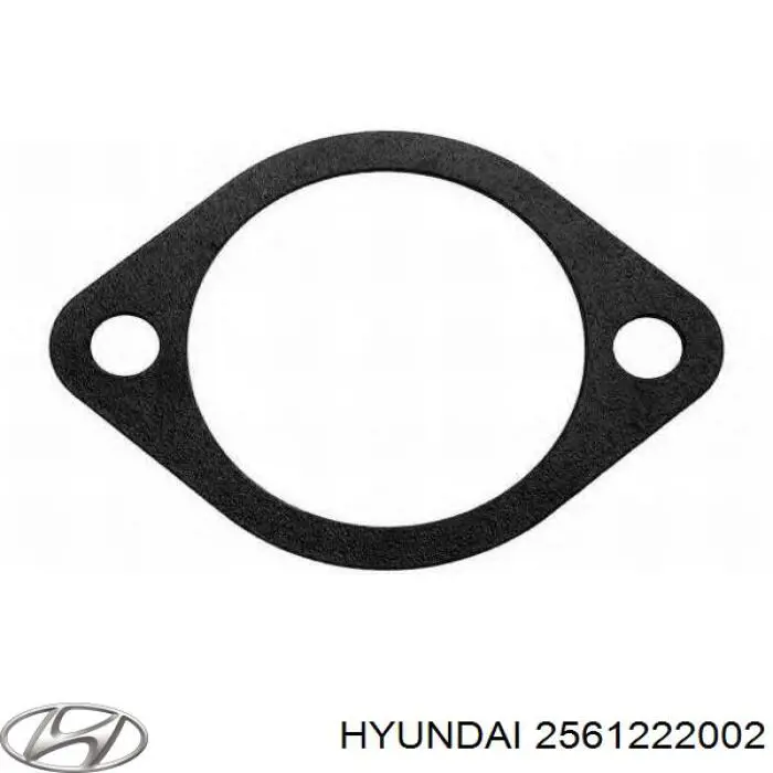 Купити 2561222002 Hyundai/Kia Прокладка корпусу термостата