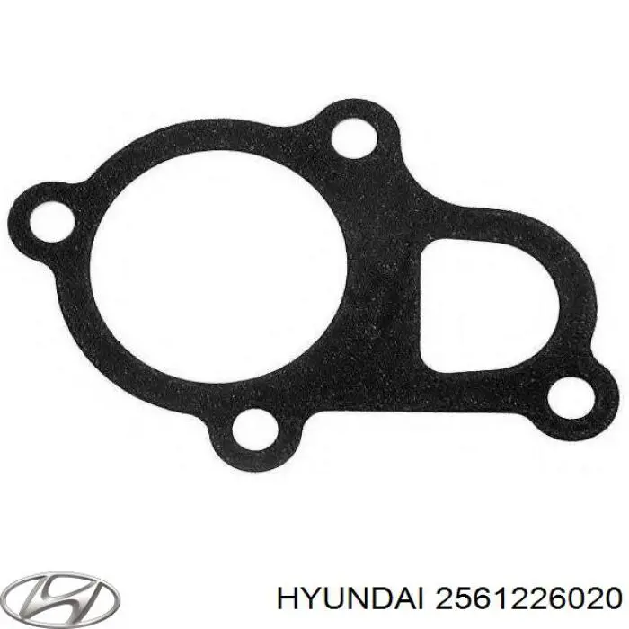 Прокладка термостата Hyundai Getz (Хендай Гетц)