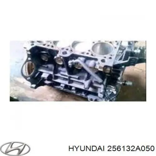  256132A050 Hyundai/Kia