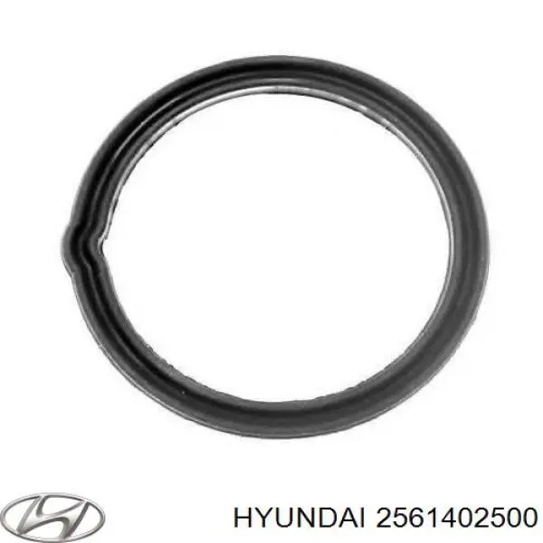 Купити 2561402500 Hyundai/Kia Прокладка термостата