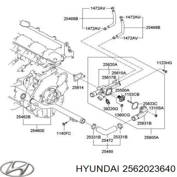 2562023640 Hyundai/Kia корпус термостата