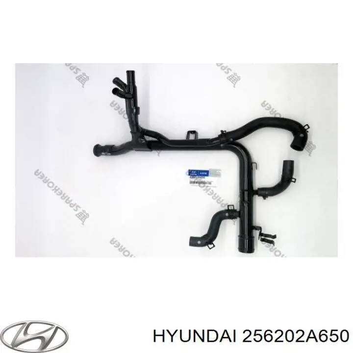 256202A650 Hyundai/Kia 