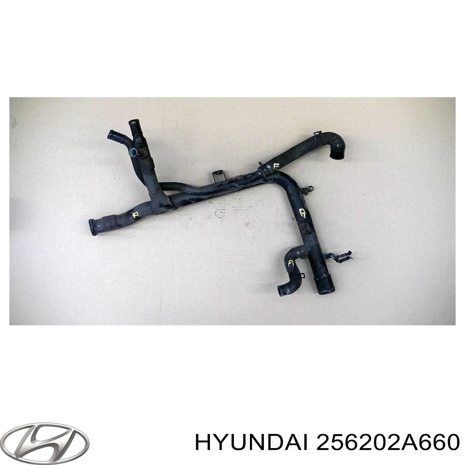  256202A660 Hyundai/Kia