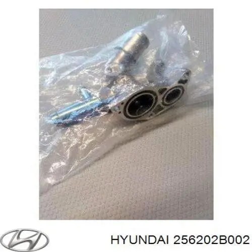 Корпус термостата 256202B002 Hyundai/Kia