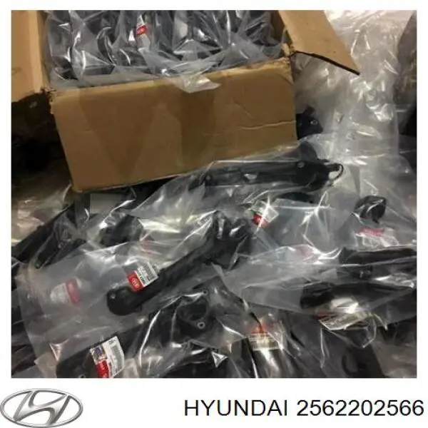  Hyundai/Kia 2562202566 ціна, від 50.31 USD