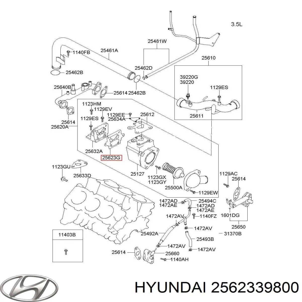  2562339800 Hyundai/Kia