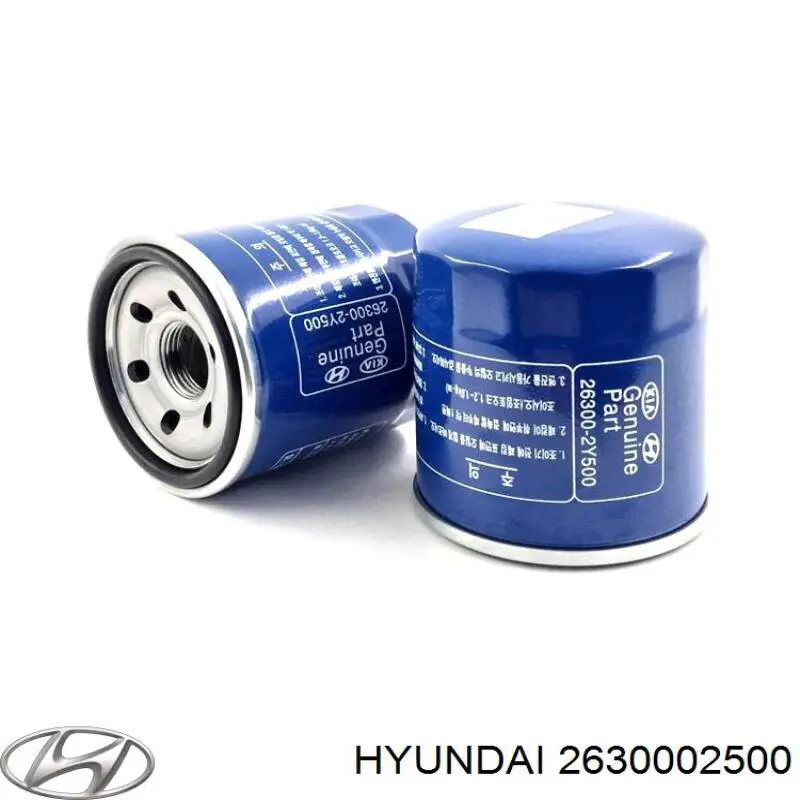 Купити 2630002500 Hyundai/Kia Фільтр очищення масла відцентровий