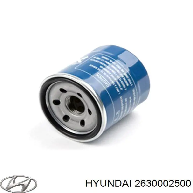 2630002500 Hyundai/Kia фільтр масляний