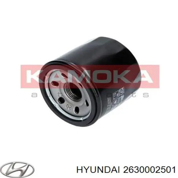 2630002501 Hyundai/Kia Фільтр масла