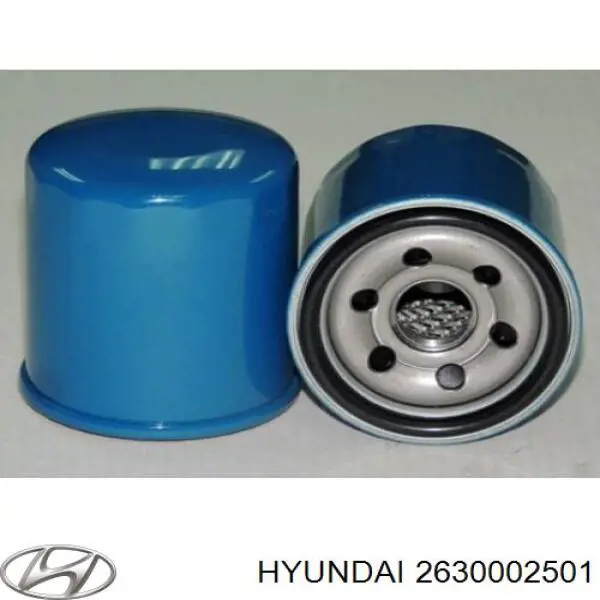 Купити 2630002501 Hyundai/Kia Фільтр очищення масла відцентровий