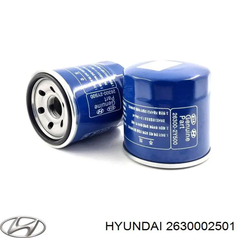 2630002501 Hyundai/Kia Фильтр масляный