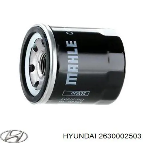 Купити 2630002503 Hyundai/Kia Фільтр очищення масла відцентровий