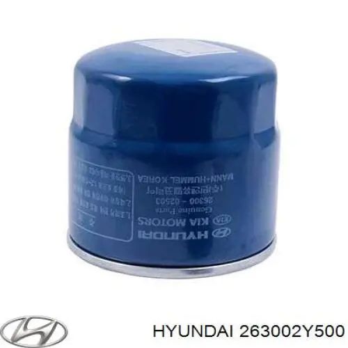 Купити 263002Y500 Hyundai/Kia Фільтр очищення масла відцентровий