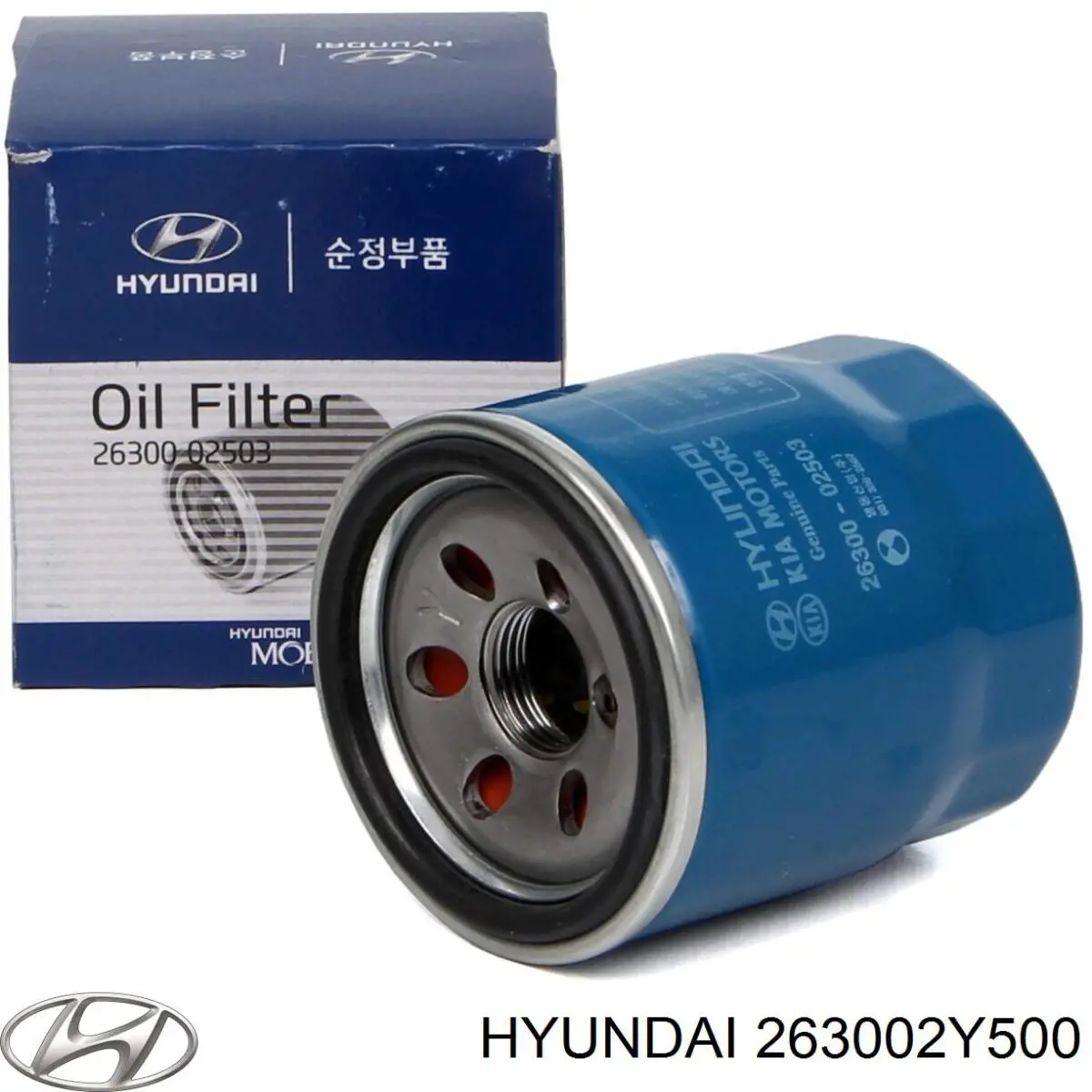 263002Y500 Hyundai/Kia Фільтр масла