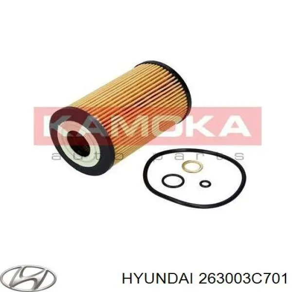 Купити 263003C701 Hyundai/Kia Корпус масляного фільтра