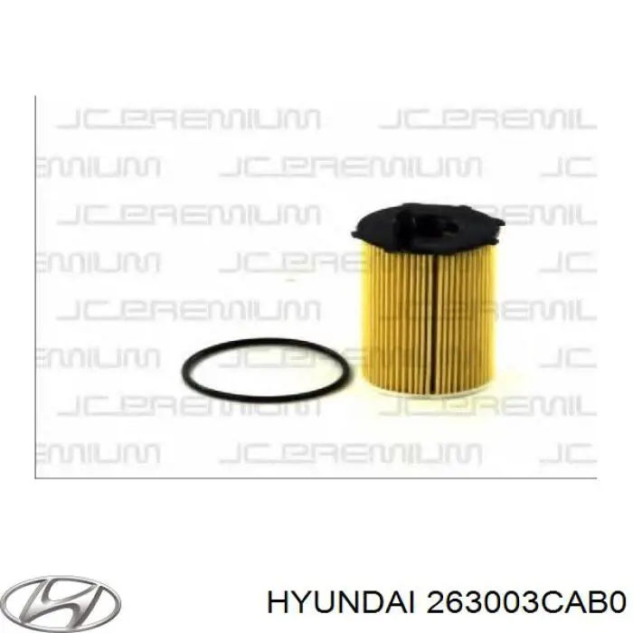 Купити 263003CAB0 Hyundai/Kia Корпус масляного фільтра