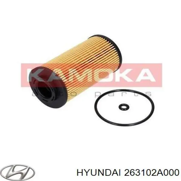 263102A000 Hyundai/Kia корпус масляного фільтра