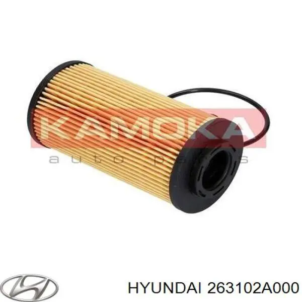 Купити S263102A002 Hyundai/Kia Корпус масляного фільтра