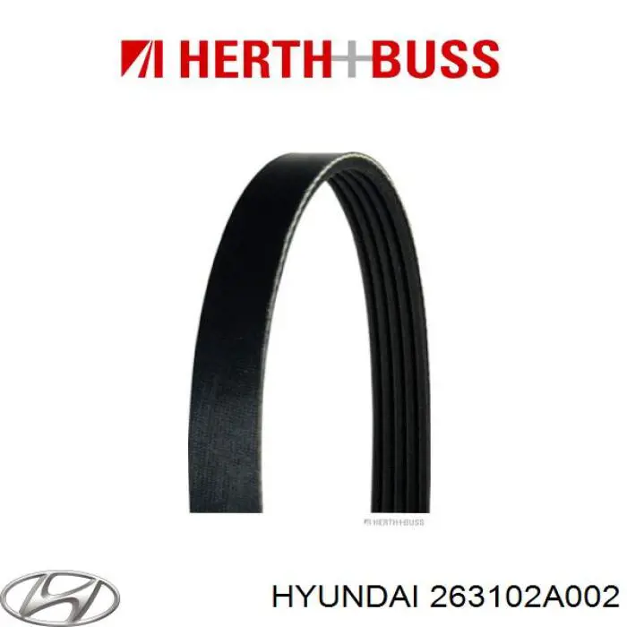 Купити 263102A002 Hyundai/Kia Корпус масляного фільтра