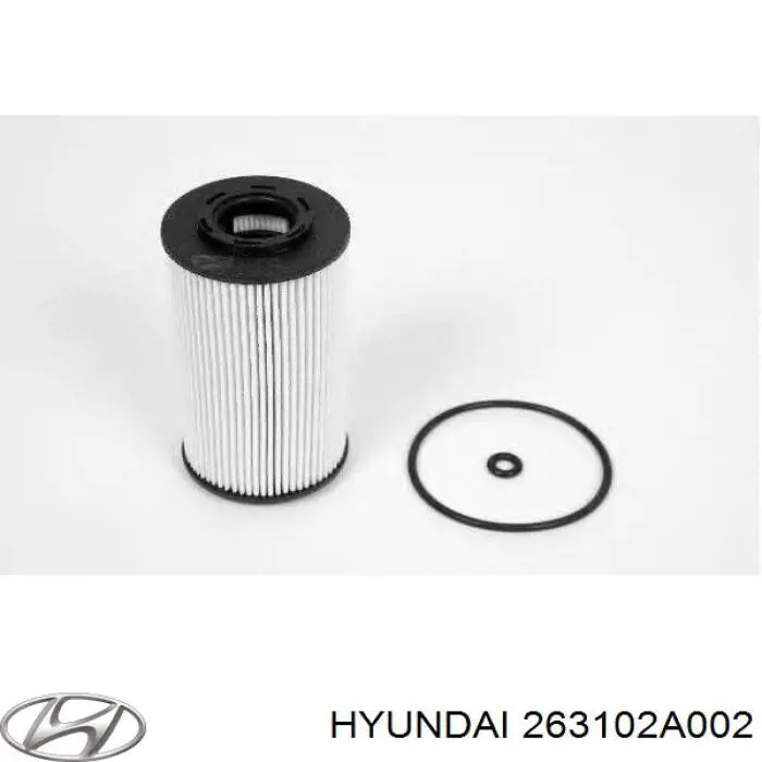263102A002 Hyundai/Kia корпус масляного фільтра