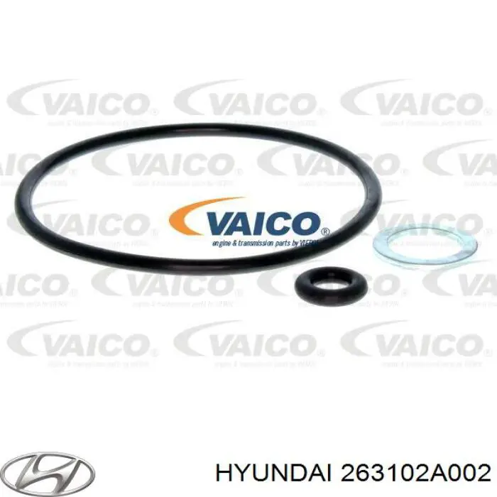 Корпус масляного фільтра Hyundai/Kia 263102A002 ціна, від 3.97 USD