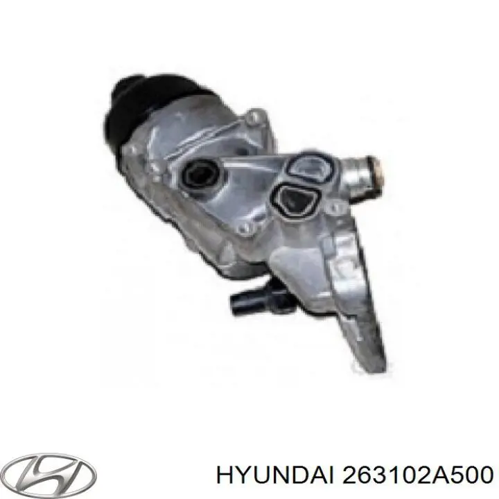 Корпус масляного фільтра Hyundai/Kia 263102A500