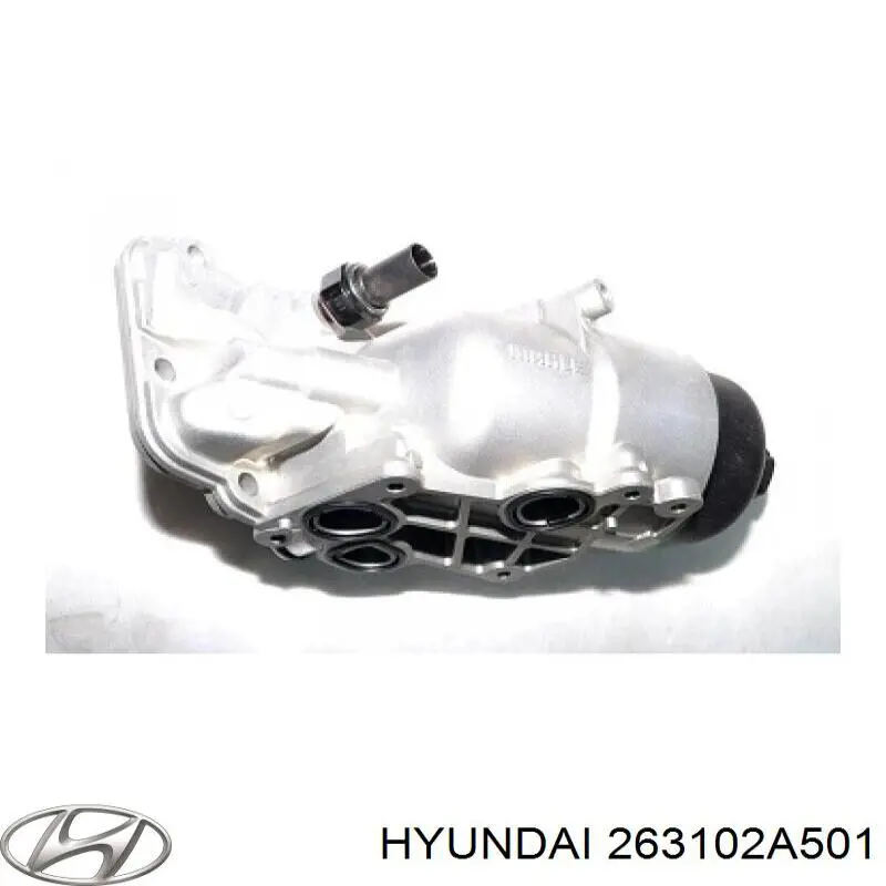 263102A501 Hyundai/Kia Корпус маслофільтра