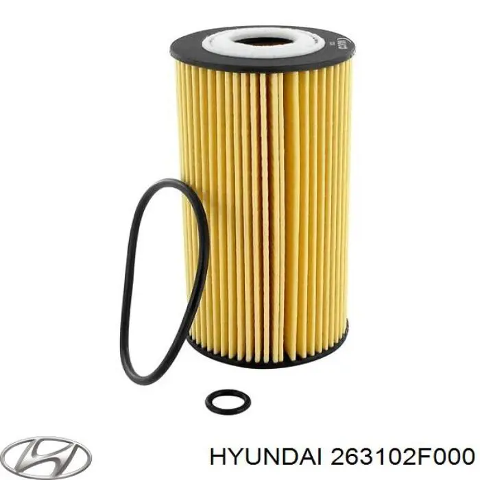 Корпус масляного фільтра Hyundai/Kia 263102F000 ціна, від 28.13 USD