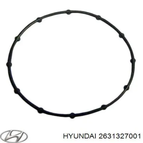 2631327001 Hyundai/Kia Ущільнююче кільце між корпусом масляного фільтра та теплообмінником
