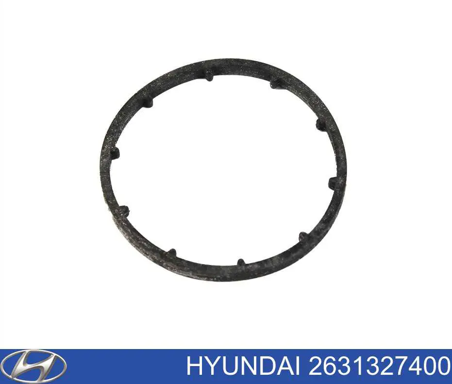 Ущільнююче кільце між корпусом масляного фільтра та теплообмінником Hyundai Grandeur (TG) (Хендай Грандер)