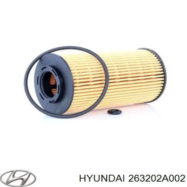 Купити 263202A002 Hyundai/Kia Фільтр очищення масла відцентровий