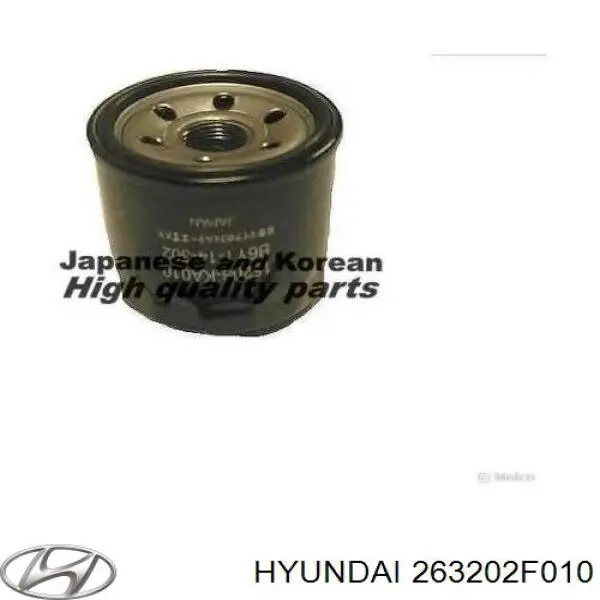 Купити 263202F010 Hyundai/Kia Фільтр очищення масла відцентровий