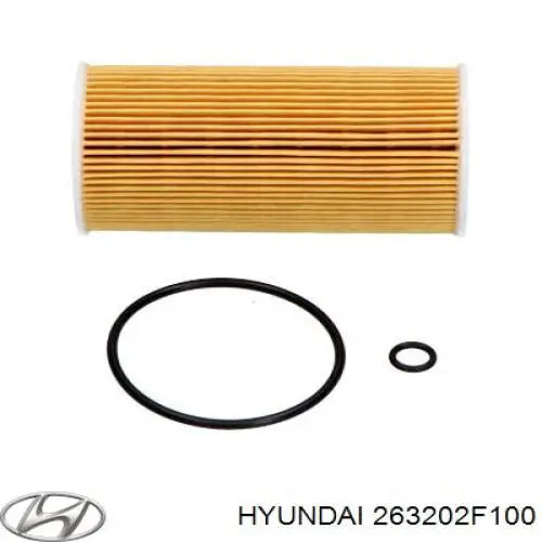 263202F100 Hyundai/Kia Фільтр масла