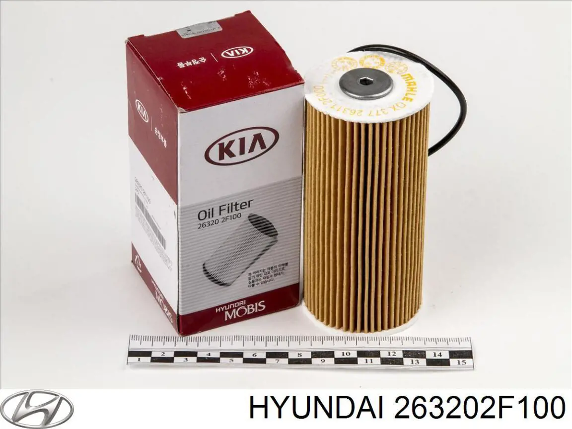 Купити 263202F100 Hyundai/Kia Фільтр очищення масла відцентровий